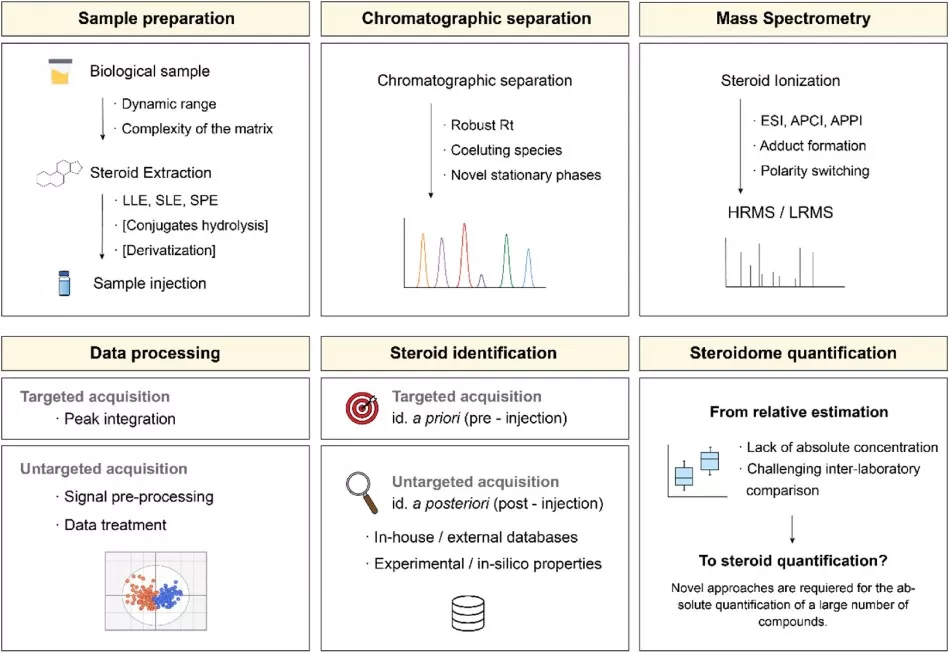 Workflow of steroidome analysis from sample preparation to quantification